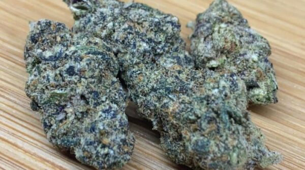 Tenscotti Strain: A High-THC Strain for Experienced Users